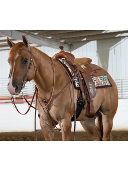 Weaver Leather Stacy Westfall Woven Show Blanket on horse