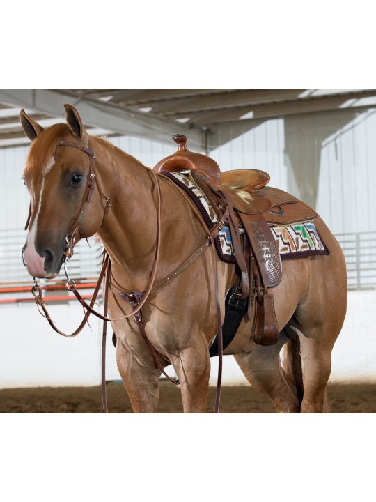 Weaver Leather Stacy Westfall Show Satteldecke auf Pferd