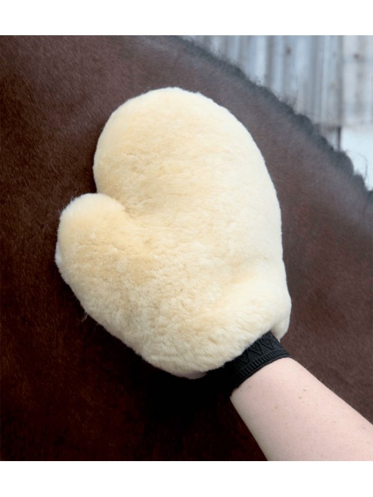 Lambskin Grooming Glove