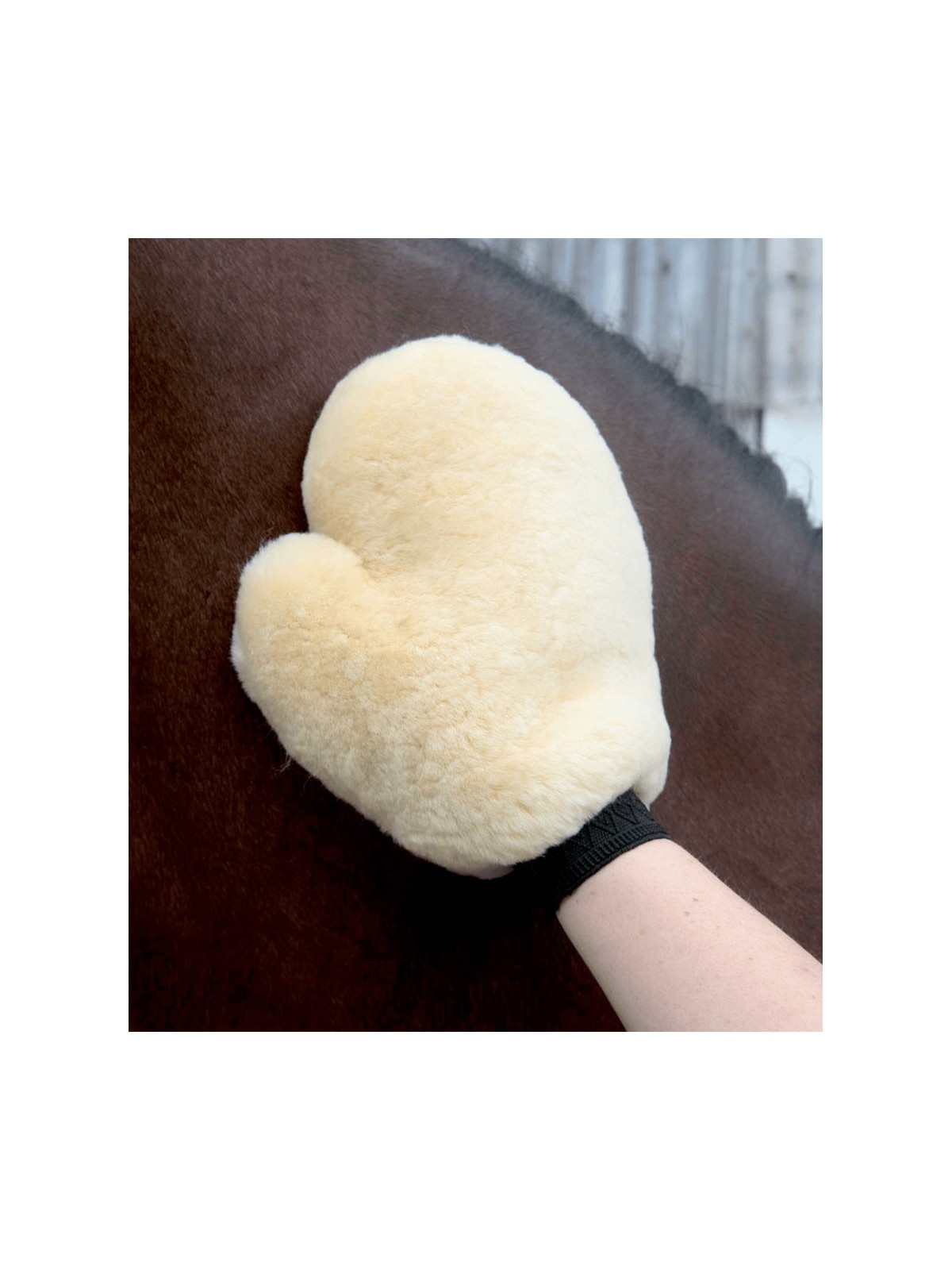 Lambskin Grooming Glove