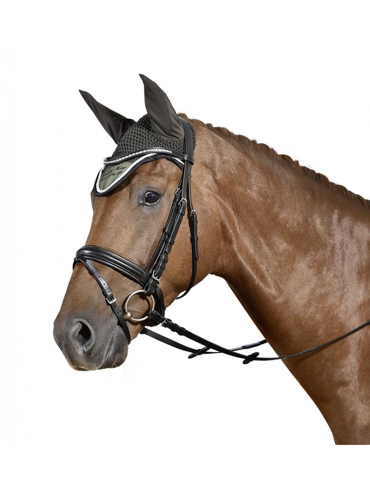 BUSSE Fly Veil TRENTINO/TOSKANA on horse