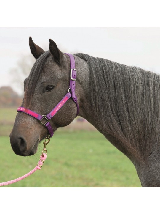 Embroidered Weaver Nylon Halter Size Yearling