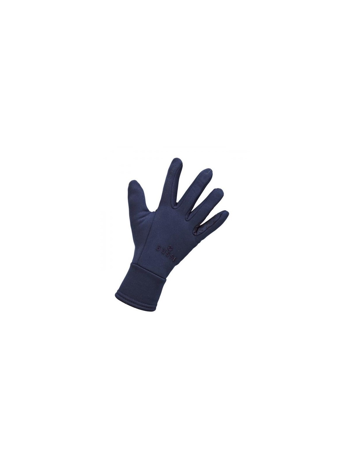 Winter Gloves LARS