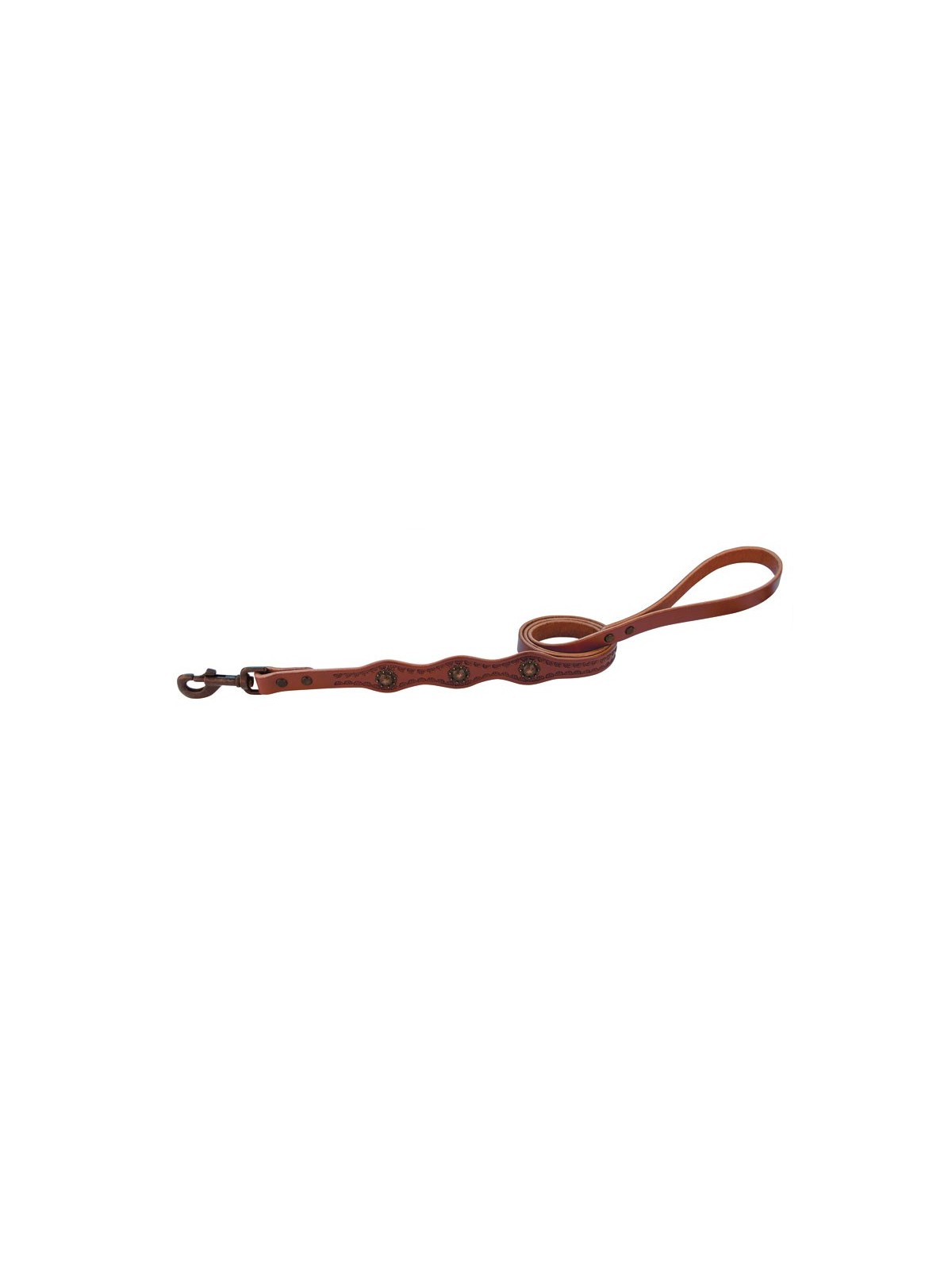 Sundance Dog Leash