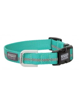 Reflective Dog Collar mint green