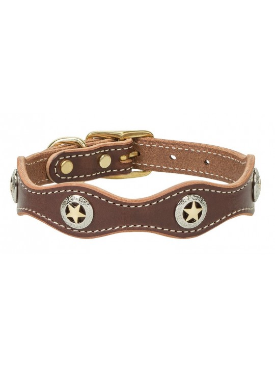 Lonestar Legend Collar