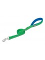 Reflective Leash green