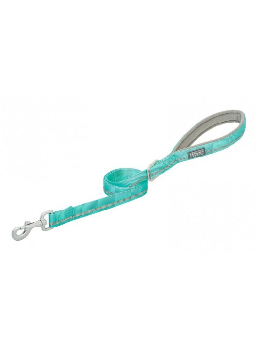 Reflective Leash mint green