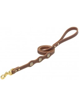 Lonestar Leash