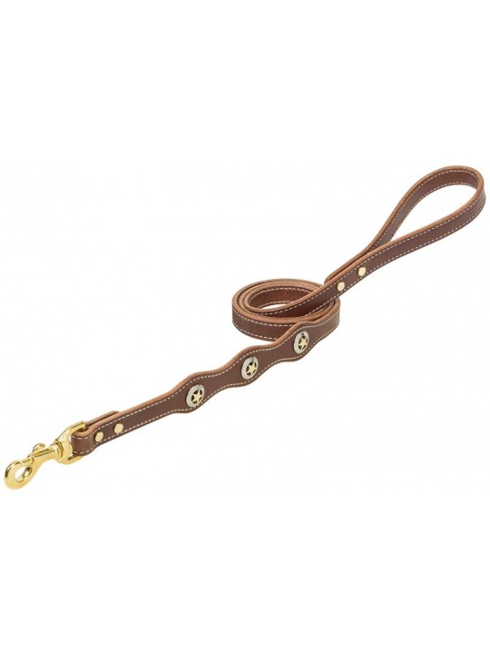 Lonestar Leash