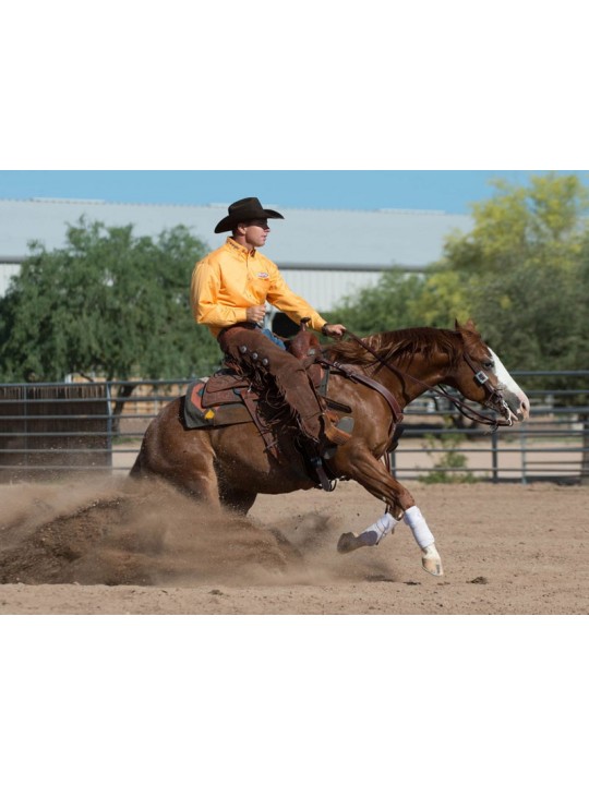 Wokring Cowboy Breast Collar