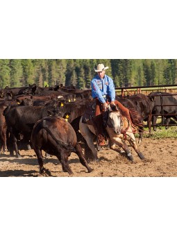 Basin Cowboy Roper Brustgeschirr 401061