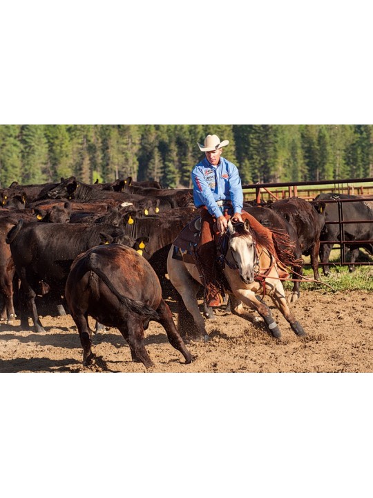 Basin Cowboy Roper Breast Collar 401061