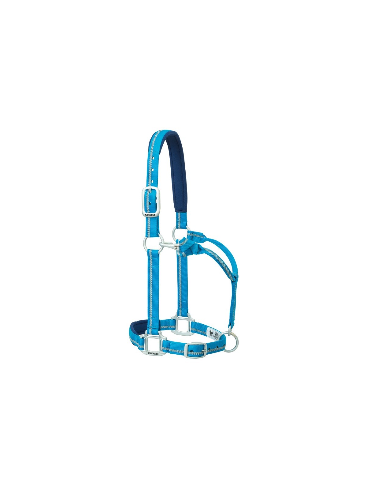 Reflective Halter blue