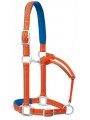 Reflective Halter orange blue