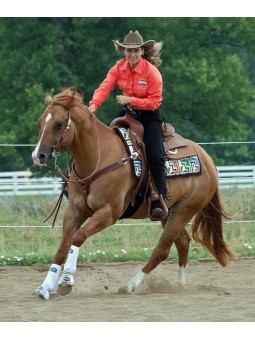 Weaver Prodigy Athletic Gamaschen  Weiss am Pferd, reitend