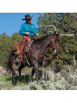 Cowboy mit Weaver Native Tooled Zaum Kollektion 10-0431, 40-1017