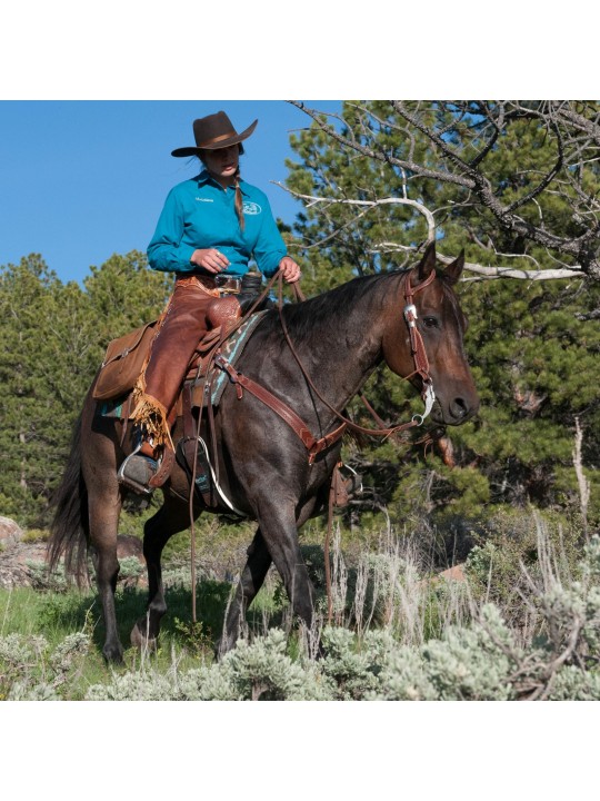 Cowboy mit Weaver Native Tooled Zaum Kollektion 10-0431, 40-1017