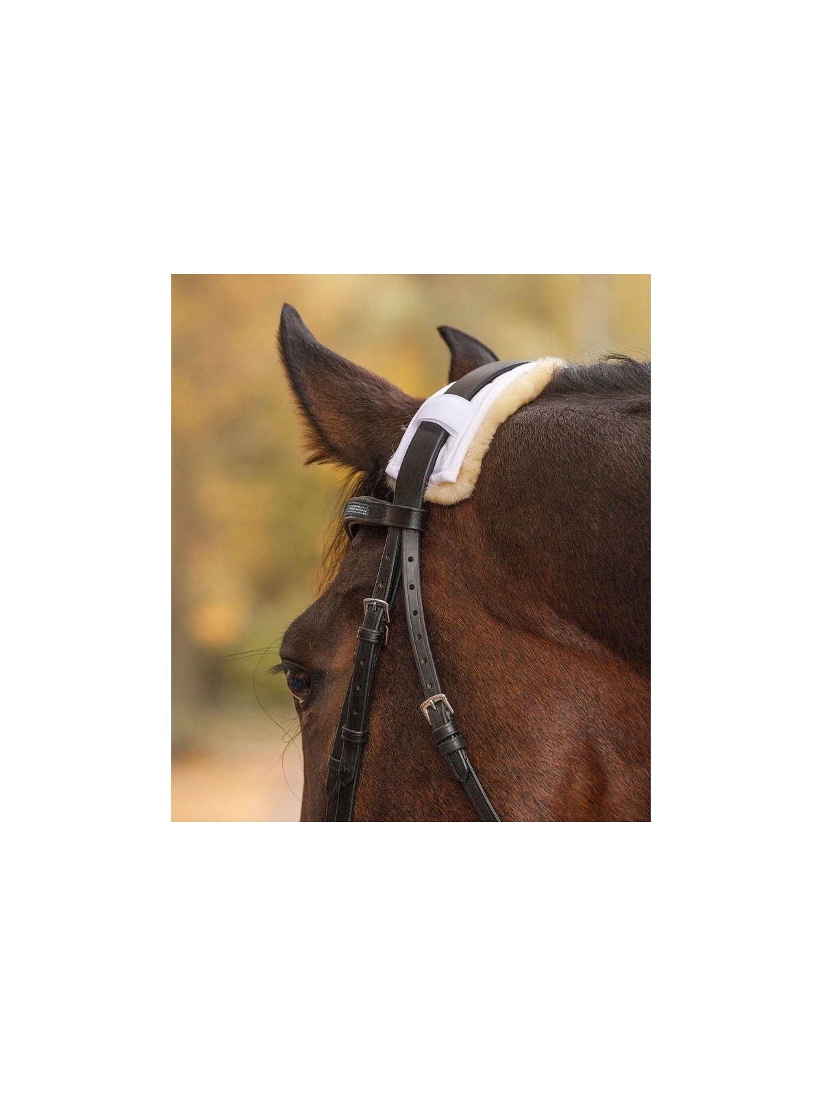 Lambskin noseband / poll protection