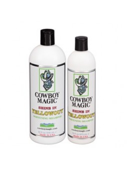 Shine In Yellowout™ Sortiment