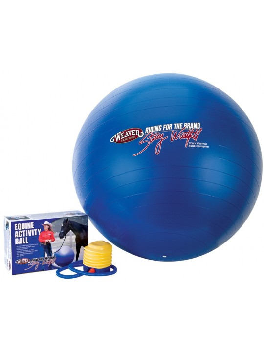 Activity Ball, Medium