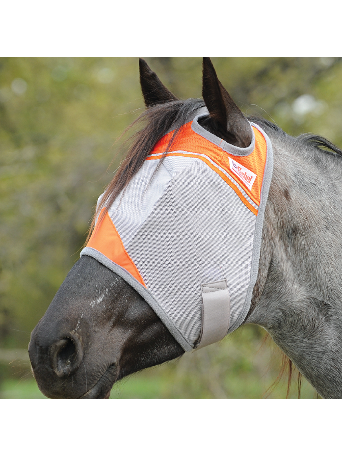 Crusader Fly Mask orange