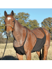 Fly Sheet Belly Guard