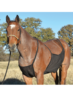 Fly Sheet Belly Guard