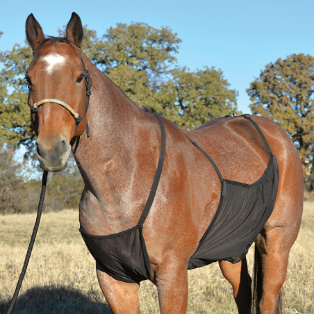 Fly Sheet Belly Guard