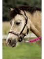 Leather Halter Nobility Pony with pink crystals