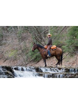 Saddle Bag
