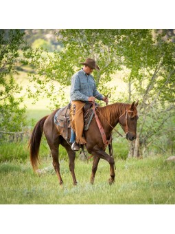 Vintage Cowboy Chinks