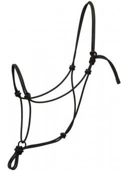 Transition Rope Halter with Sliding Ring
