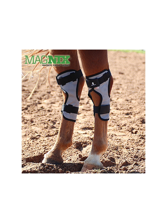 MagNTX Sprunggelenk Bandage