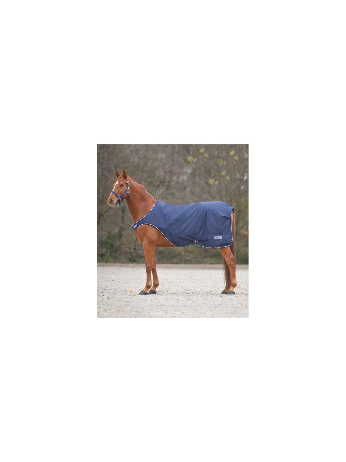 Rug for Horse Walking Machine