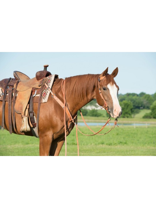 Rambler Sliding Ear Headstall