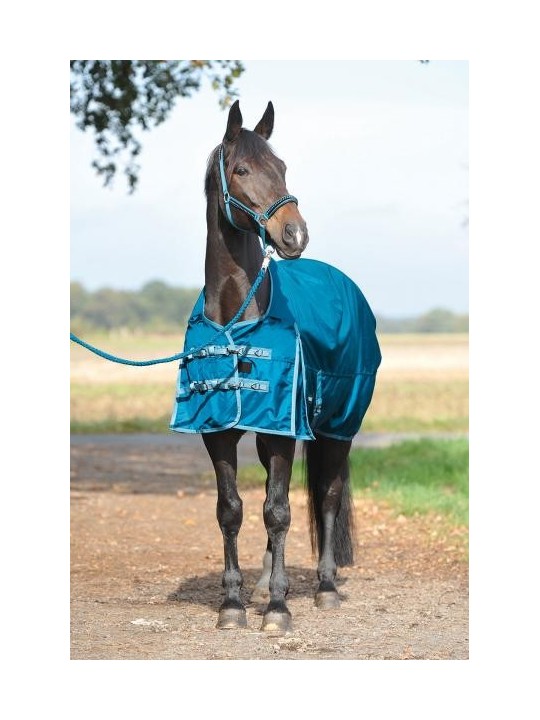 Thermo Turn-Out Rug ASTANA WINTER