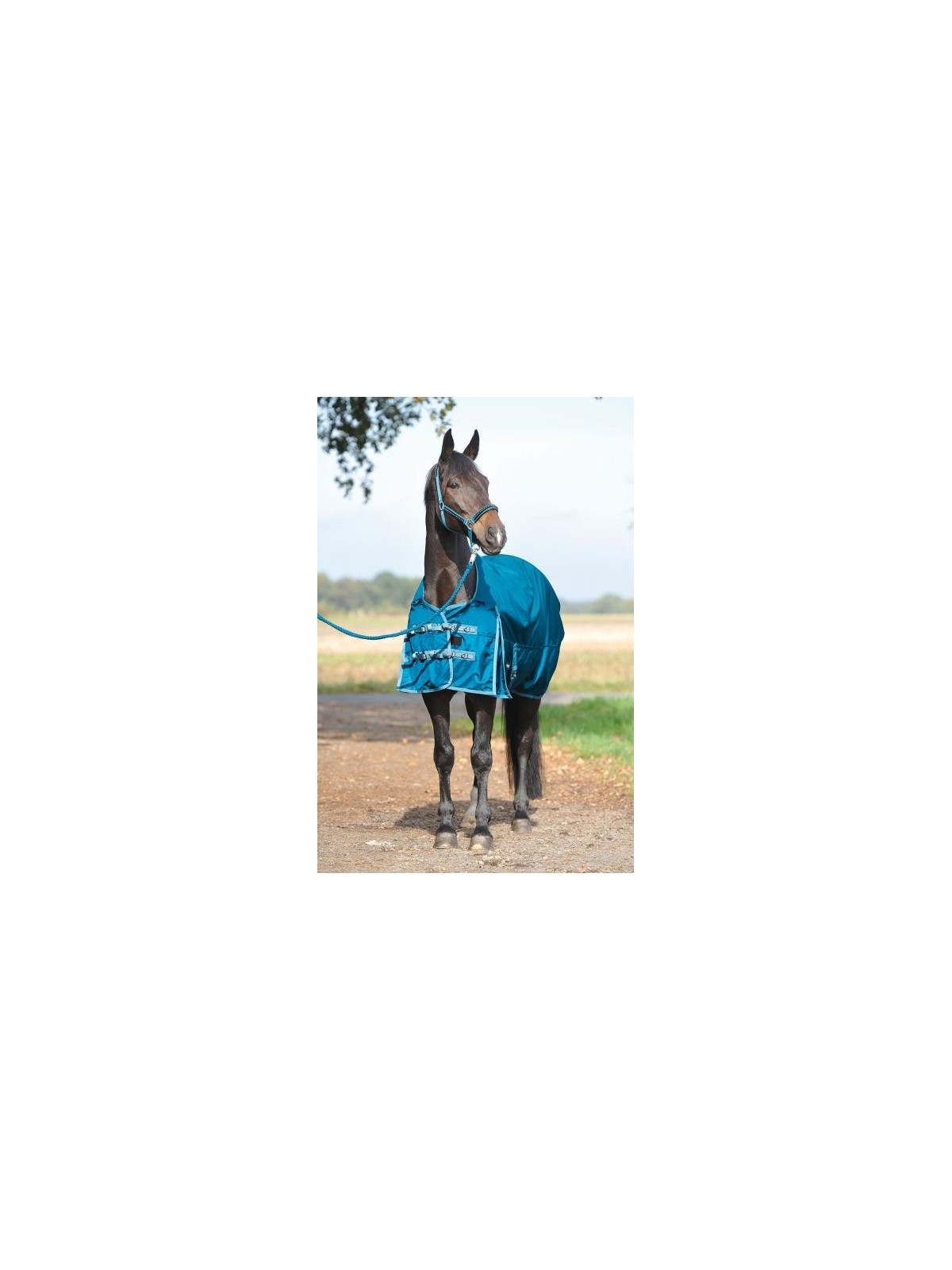Thermo Turn-Out Rug ASTANA WINTER Thermo Turn-Out Rug ASTANA WINTER