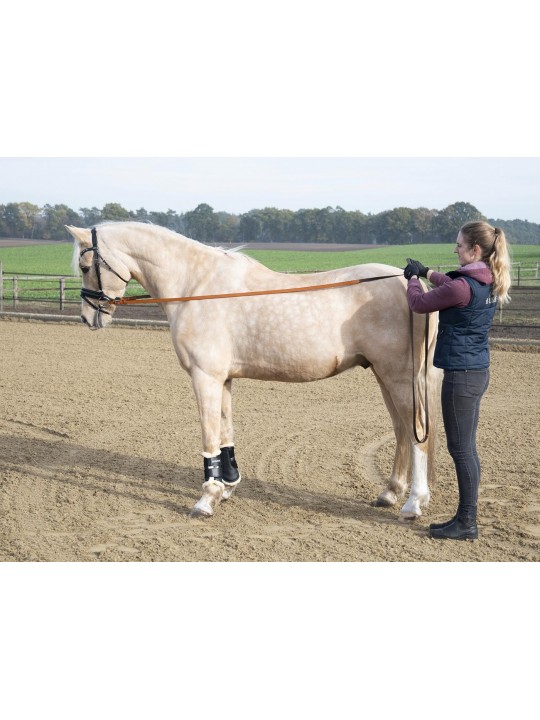 Long Reins BIOTHANE® 3.5m