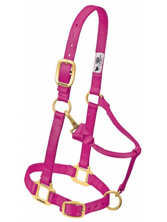 Nylon Halfter Shetty / Pony himbeere