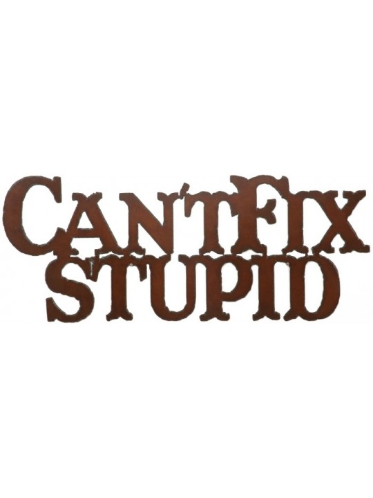 Can't Fix Stupid