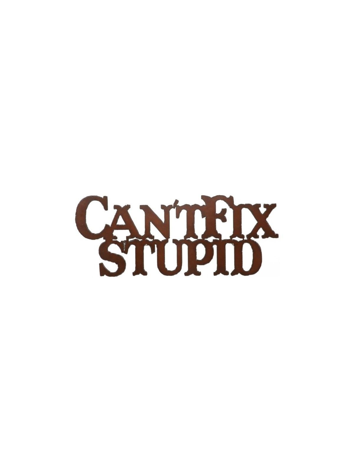 Can't Fix Stupid