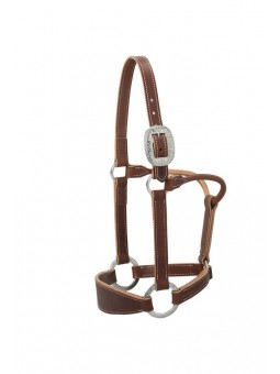 Stacy Westfall Bronc Halter