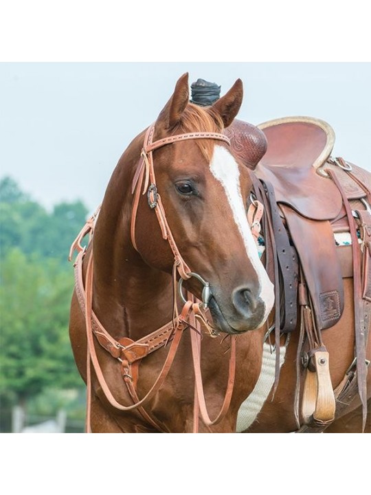 Buckstitch Browband Headstall