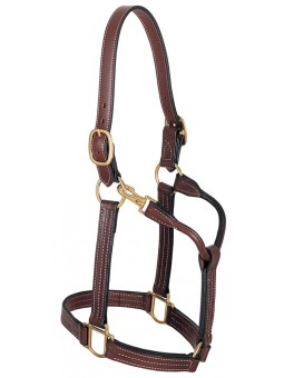 1" Thoroughbred Halter