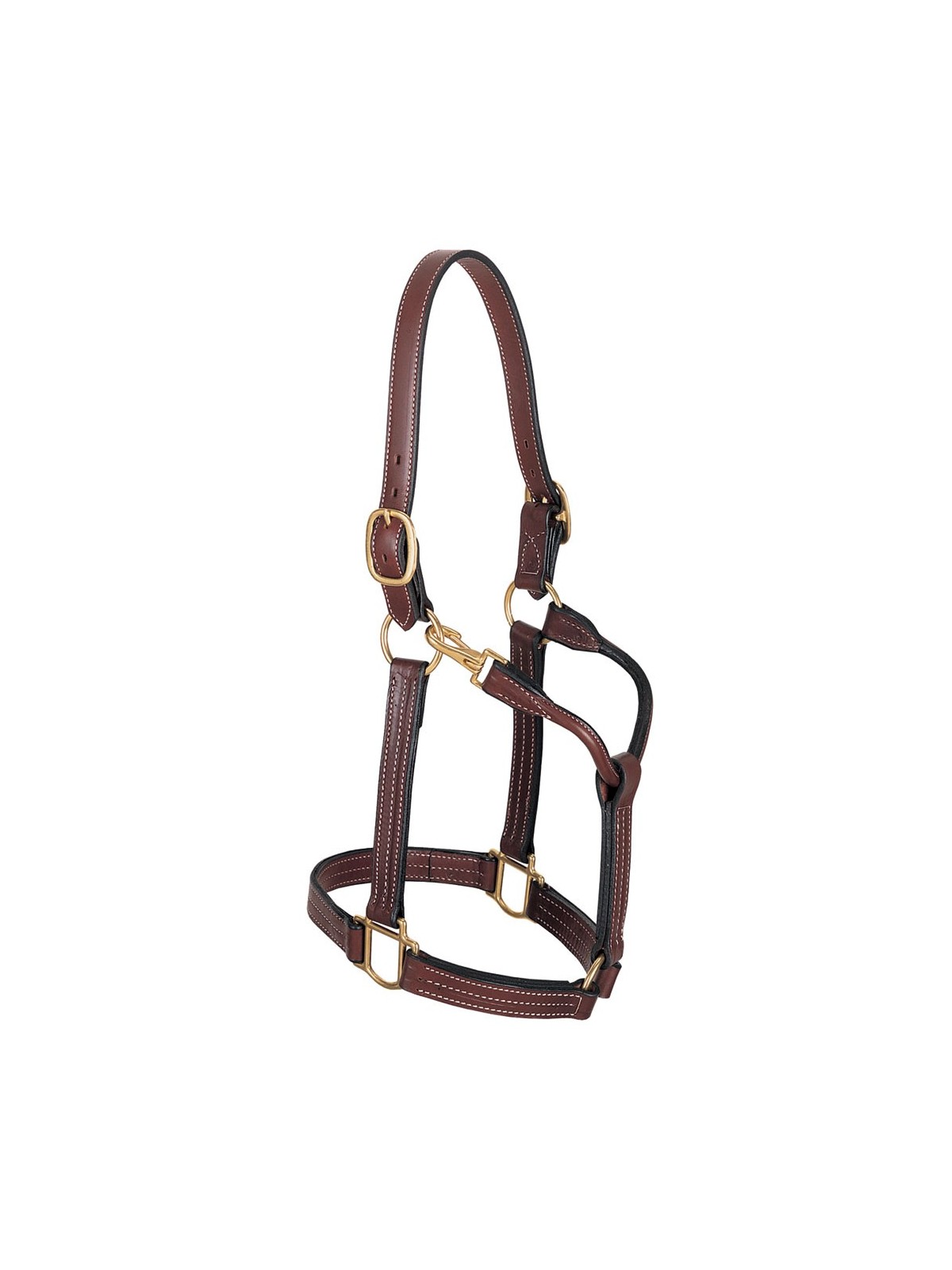 1" Thoroughbred Halter