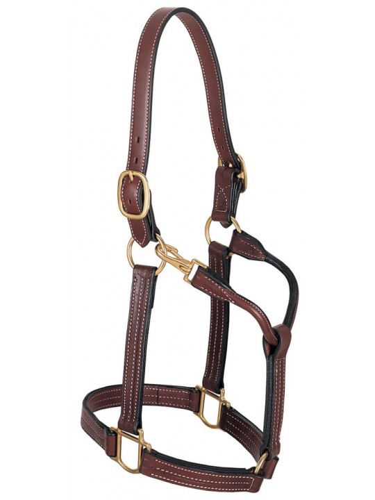 1-1/8" Thoroughbred Halter