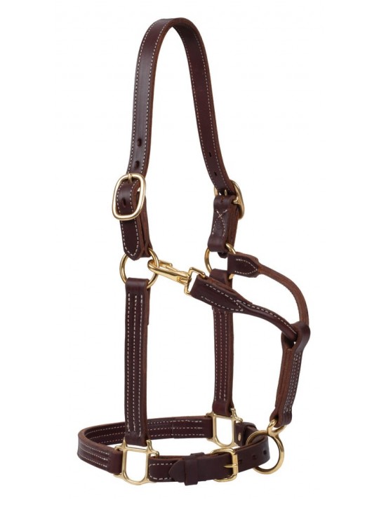 1" Track Halter