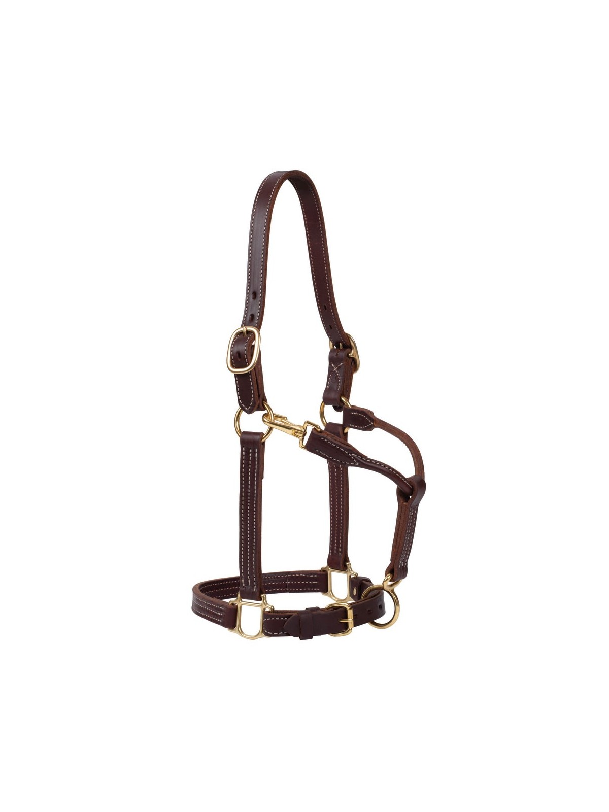 1" Track Halter