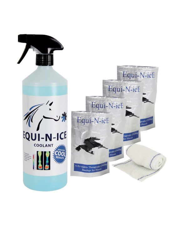 Equi-N-icE